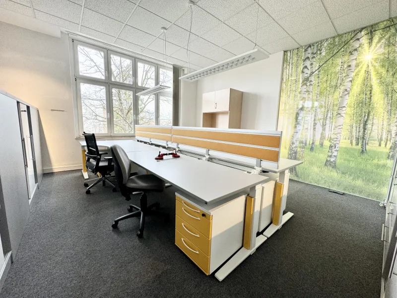 Innenansicht - Büro/Praxis mieten in Dresden - Flexibel und hochwertig!