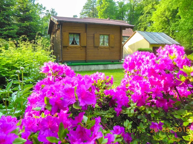 Herzlich Willkommen! - Grundstück kaufen in Großharthau - Idylle am Schlosspark!