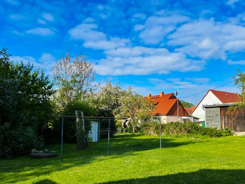 Blick in den Garten (2)