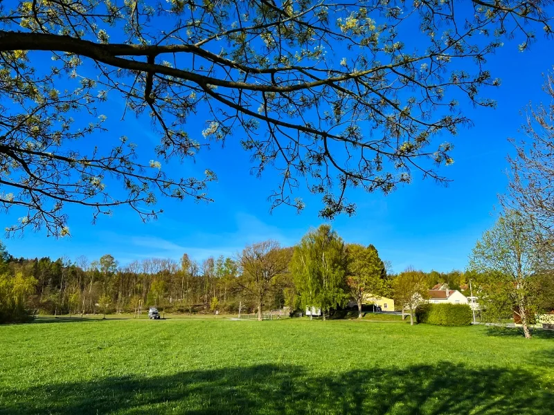 Herzlich Willkommen! - Haus kaufen in Ringenhain - Großzügig Wohnen in ländlicher Idylle!