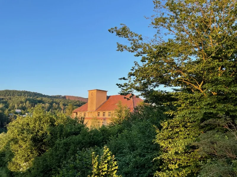 Herzlich Willkommen - - Gastgewerbe/Hotel kaufen in Sebnitz - Von der Seidenblumenmanufaktur zum Hotel!