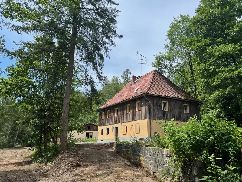 Herzlich Willkommen! - Land- und Forstwirtschaft kaufen in Neustadt - Verwirklichen Sie Ihre Träume - auf 100.000 m² Wald und Wiese!