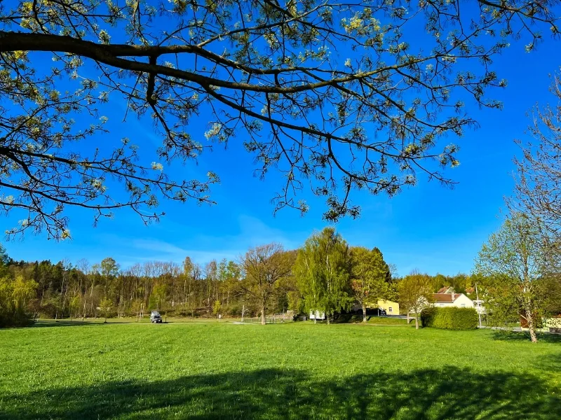 Herzlich Willkommen! - Haus kaufen in Ringenhain - Viel Platz in ländlicher Idylle!