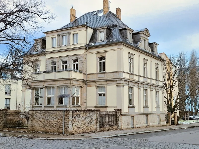 Objektansicht - Büro/Praxis mieten in Dresden - Repräsentative Villa! BEATE PROTZE IMMOBILIEN