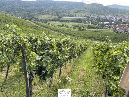 4 Mühlenberg 3685 - Zinshaus/Renditeobjekt kaufen in Weinstadt - Weinberg in Weinstadt