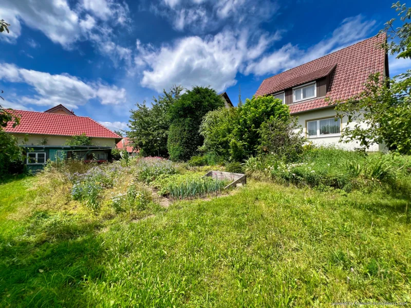 Garten mit Blick zum Haus