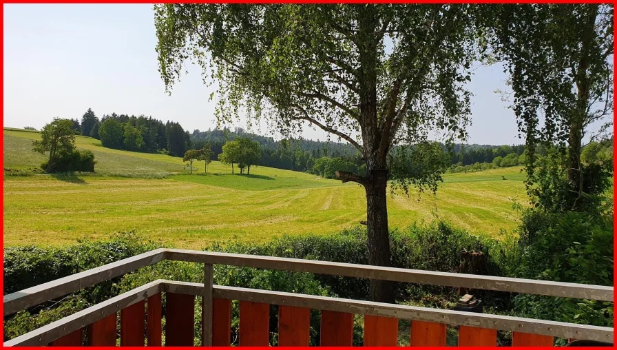 Blick vom Balkon - Haus kaufen in Börtlingen - Sofort beziehbares Eigenheim - Garten - ruhige Lage!