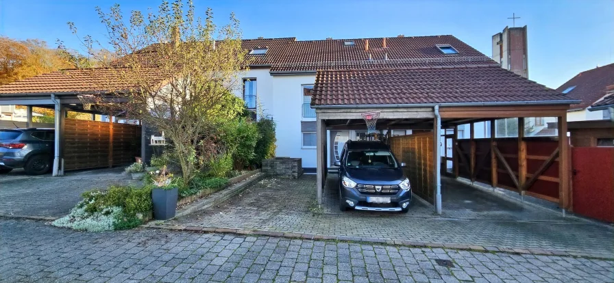 Zungang zum Haus und Carport