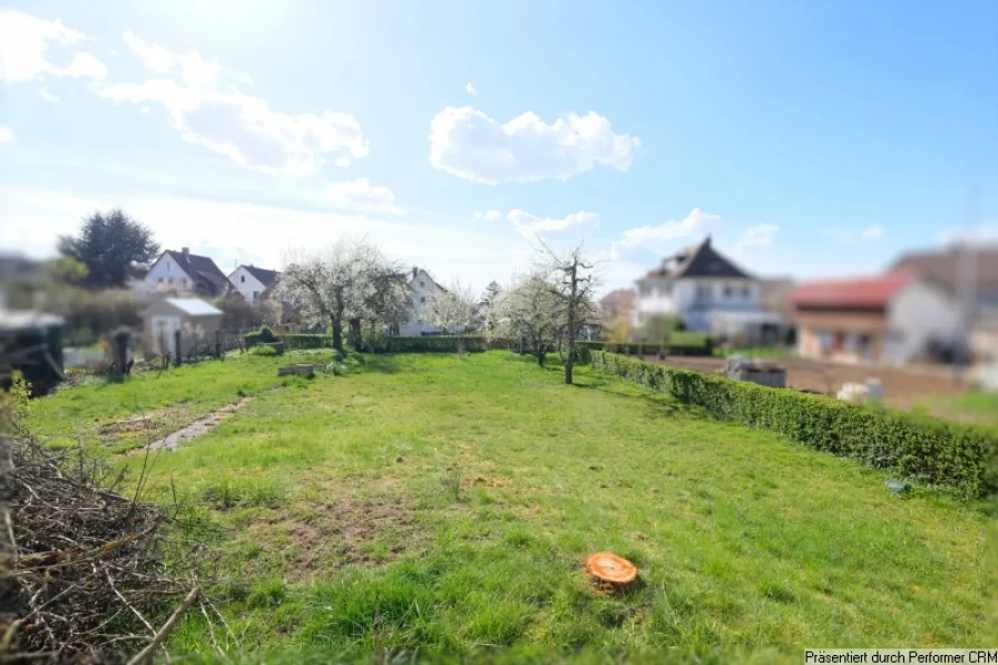 Garten Blick nach Westen