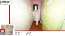 DG 1 - WC