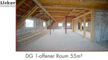 DG 1-offener Raum 55m²