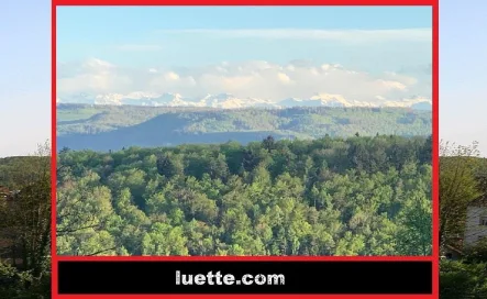 Herrlicher Alpenblick - Wohnung mieten in Tiengen - TerrassenH in beliebter Lage Im Klingnauer, Alpenblick, neuwertiger Zustand, hochwertige Fenster eingebaut, in allen Räumen hochwertiger Parkett hell, Terreasse teilw. glasüberd., 2 Bäder 2020 erneuert, Photovoltaik, Grander-Entkalkungsanlage