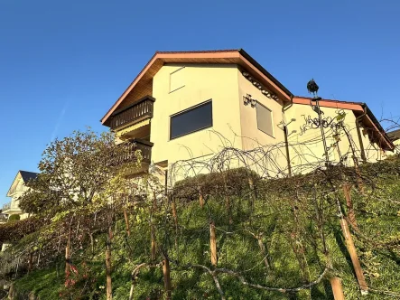 Ansicht von Westen - Haus mieten in Kohlberg - So weit das Auge reicht - Großes Einfamilienhaus mit Weinberg und Panoramaaussicht