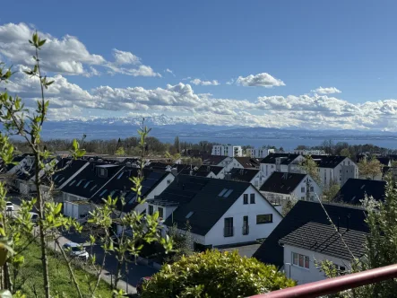 Ausblick - Wohnung kaufen in Friedrichshafen - Den See und die Berge im Blick:3- bis 4-Zimmer-Seesicht-Terrassen-Wohnung mit zwei TG-Stellplätzen