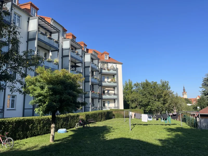 Das Cottaer Rathaus im Blick