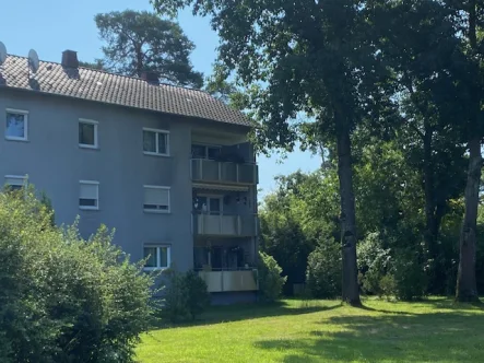 Rückansicht - Wohnung kaufen in Hügelsheim / Kleinkanada - Kaufen statt Miete! Provisionsfreie, sofort beziehbare 4 Zi.-ETW mit tollem Ausblick in Hügelsheim!