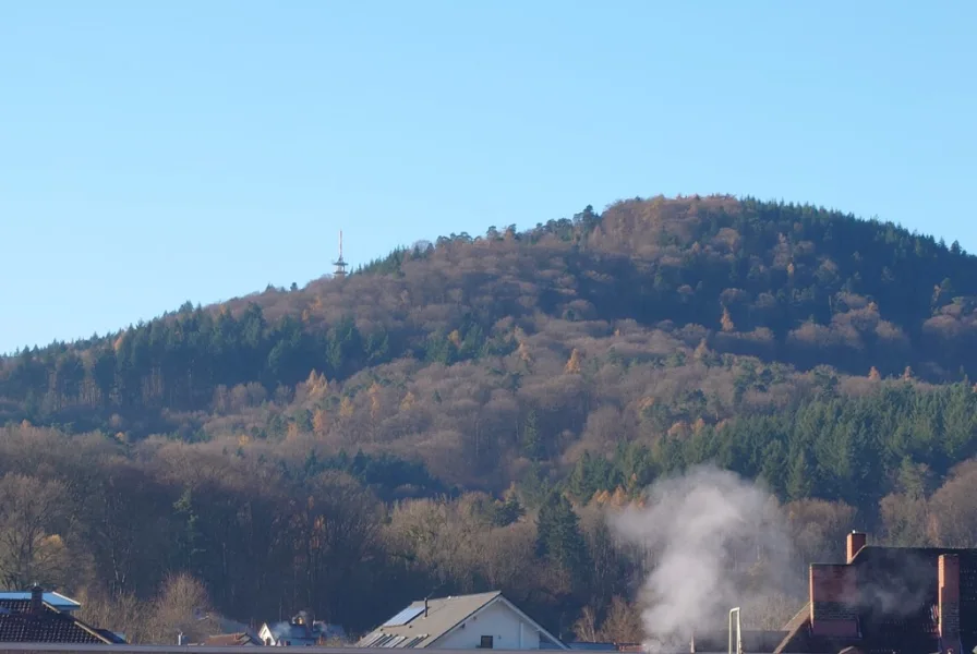 DG Aussicht Balkon Haus 41a