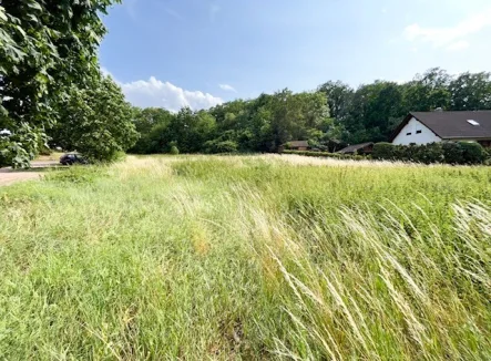 Grundstück  - Grundstück kaufen in Löbejün - Baugrundstück in Wettin Löbejün