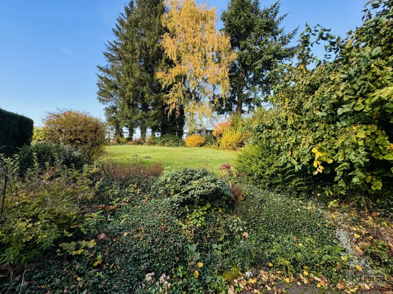 Garten hinter dem Haus