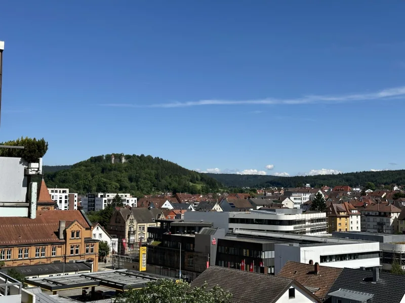 Blick zum Honberg