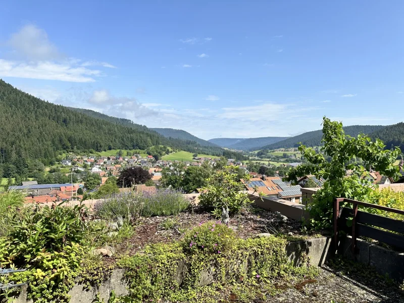 Aussicht - Wohnung kaufen in Baiersbronn - Eigentumswohnung mit herrlichem Panoramablick