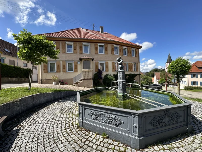 Südansicht - Haus kaufen in Böttingen - Wohnen-arbeiten-vermieten! Ein Haus mit vielerlei Perspektiven