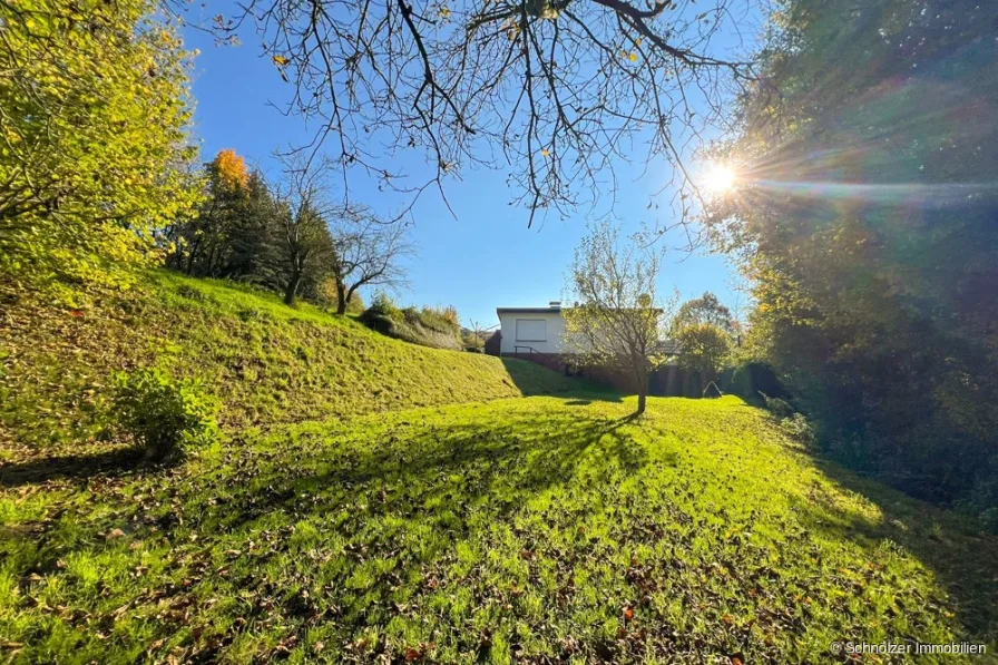 Weitläufiger Garten