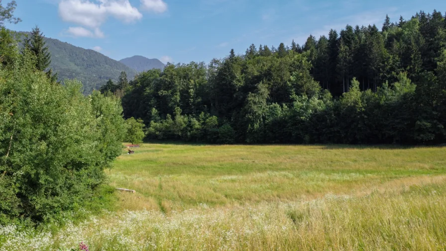 Bergblick, Wälder und Wiesen