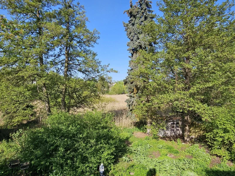 Blick vom Balkon