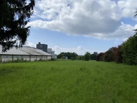 Ansicht Süden - Grundstück kaufen in Ebersdorf bei Coburg - Großflächiges Grundstück in Ebersdorf bei Coburg