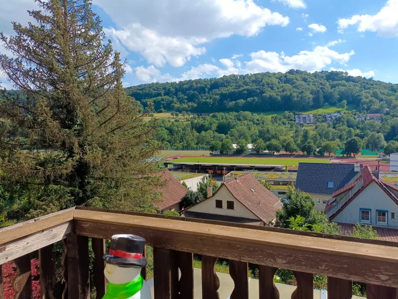 Blick vom Balkon