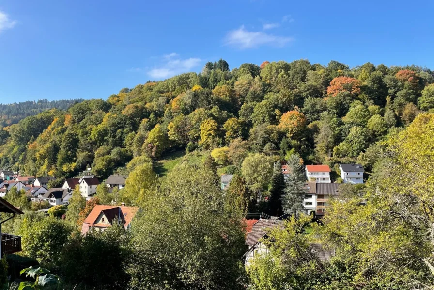 Aussicht - Grundstück kaufen in Schönau - Baugrundstück in Schönau mit tollem Ausblick!