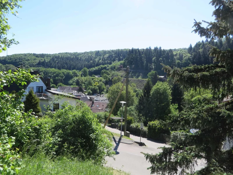 Ausblick vom Grundstück