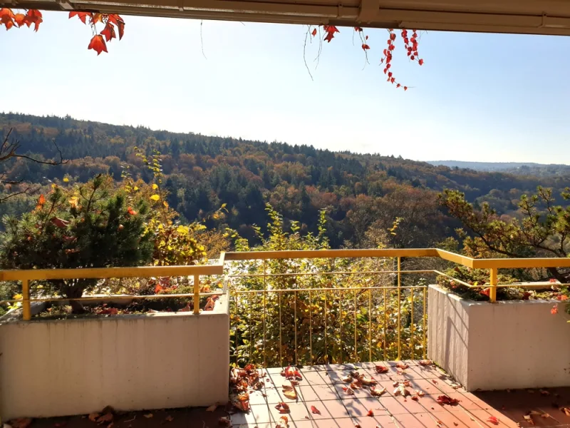 was eine Sicht - Haus kaufen in Pforzheim - TRAUMHAFTE FERNSICHT - DOPPELHAUSHÄLFTE IN WUNDERSCHÖNER LAGE MIT OFFENEM KAMIN, PKW GARAGE...