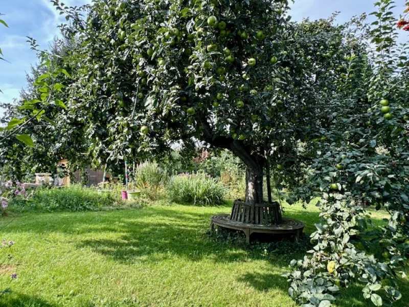 Ein Garten zum Wohlfühlen