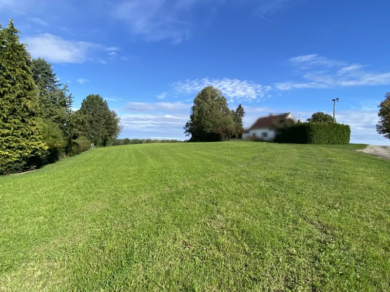 Blick auf das Grundstück - Grundstück kaufen in Neu-Ulm - Baugrundstück mit Wiese in Neu-Ulm/Holzschwang