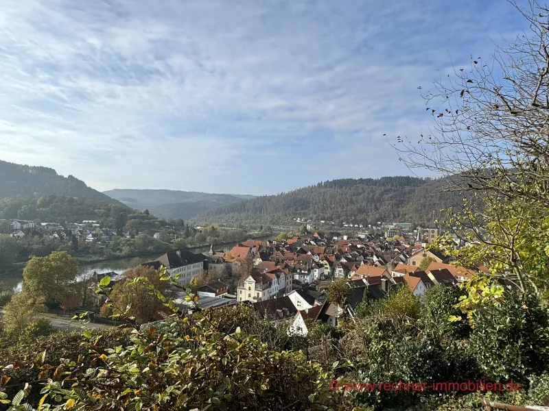  - Grundstück kaufen in Eberbach - NEUES KAUFANGEBOT! EBERBACH: Bauplatz in TOP-Lage ...