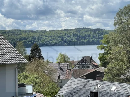 Sicht - Haus kaufen in Überlingen - Villenanwesen in Seesichtlage