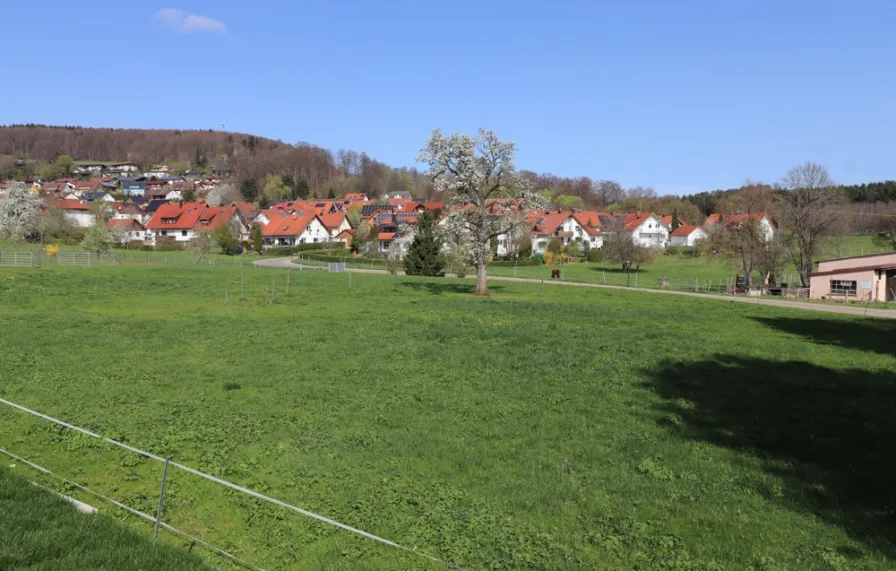 Blick von der Terrasse 