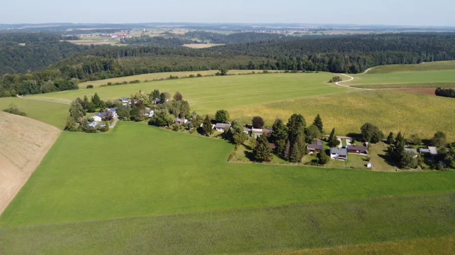 Kochstetten, Rauher Hund