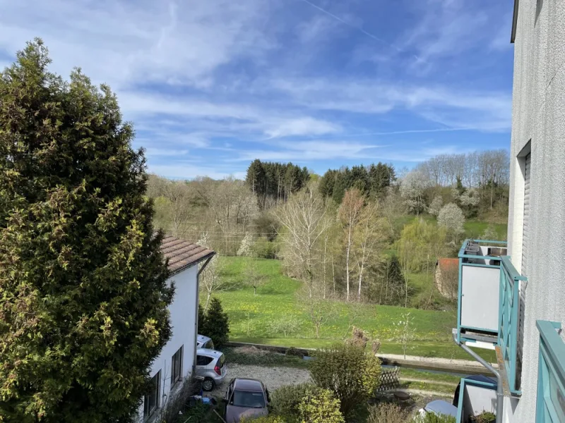 Blick vom Süd-Balkon Richtung Waldrand