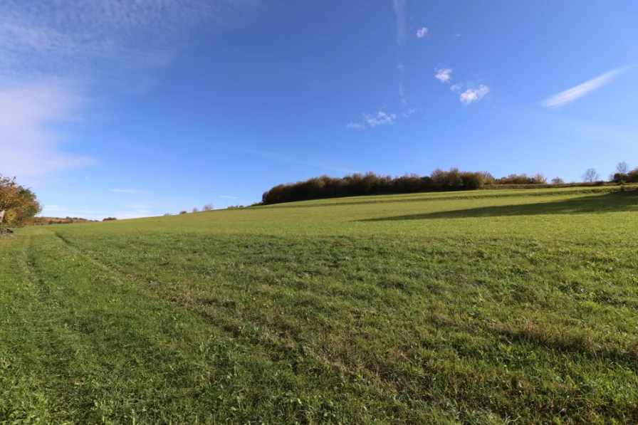 naturnahes Wohnen