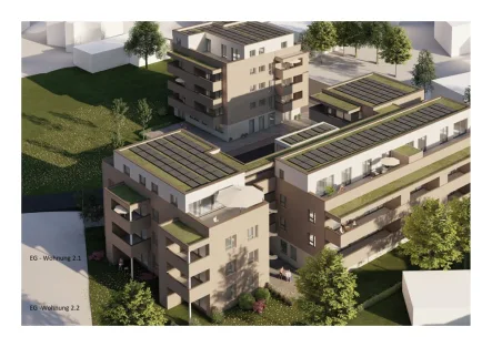 Erdgeschoss Wohnung 1 mit Terrasse und Privatgarten - Wohnung kaufen in Münsingen - Barrierefreies Wohnkonzept, 4-Zi.-Neubau-EG-Wohnung mit Privatgarten und Terrasse in Münsingen