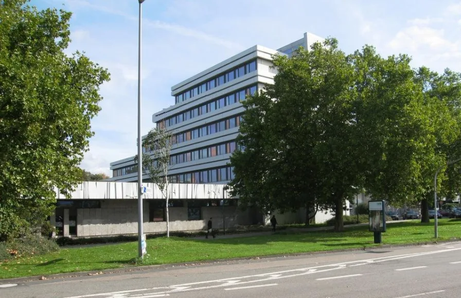 Gebäudeansicht - Halle/Lager/Produktion mieten in Heidelberg - RICH - Archiv- / Lagerflächen im Untergeschoss in Innenstadtlage - provisionsfrei