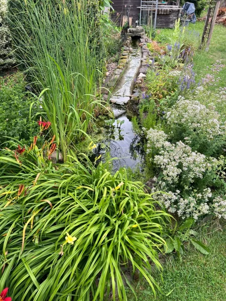 Kleiner Gartenteich