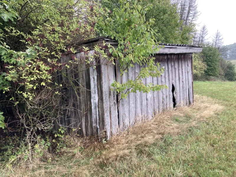 Außengelände Stallung