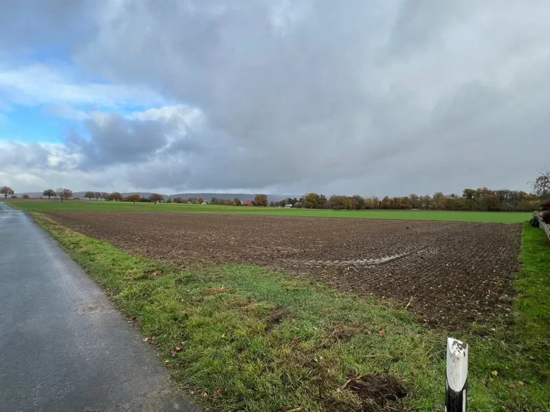 Titelbild - Grundstück kaufen in Bad Oeynhausen - Attraktives Baugrundstück in gefragter Lage von Bad Oeynhausen - Werste!