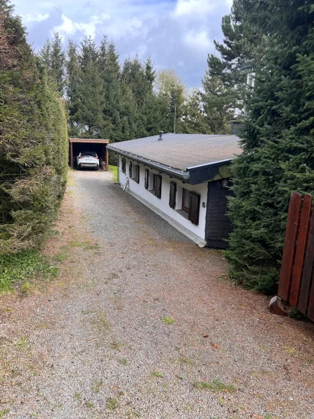 Einfahrt_Blick Carport - Haus kaufen in Willingen (Upland) - Ferienhaus mit 1000qm großem Grundstück in Usseln zu verkaufen