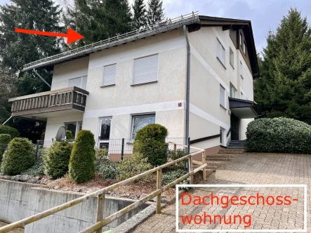 IMG_2365 - Wohnung kaufen in Willingen (Upland) - Wunderschöne 3,5 Zimmer Wohnung mit besonderem Grundriss Willinger Strycktal