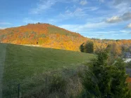 Ausblick_auf_den_Ohrenberg